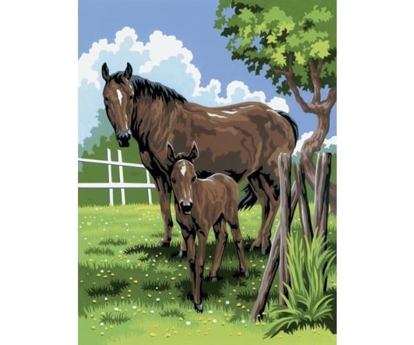 Paint by Numbers Mini - Horse