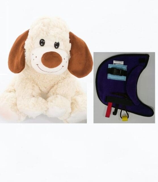 Fiddle Pup Purple