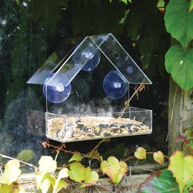 Window Bird Feeders & Seed