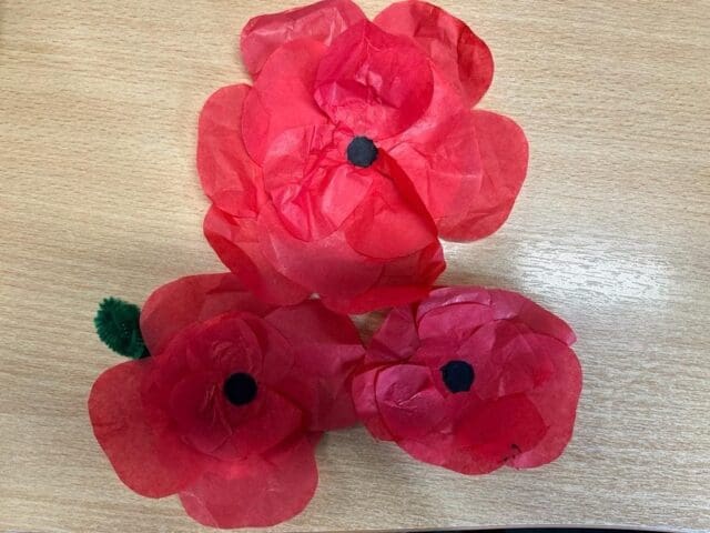 Make Your Own Poppy