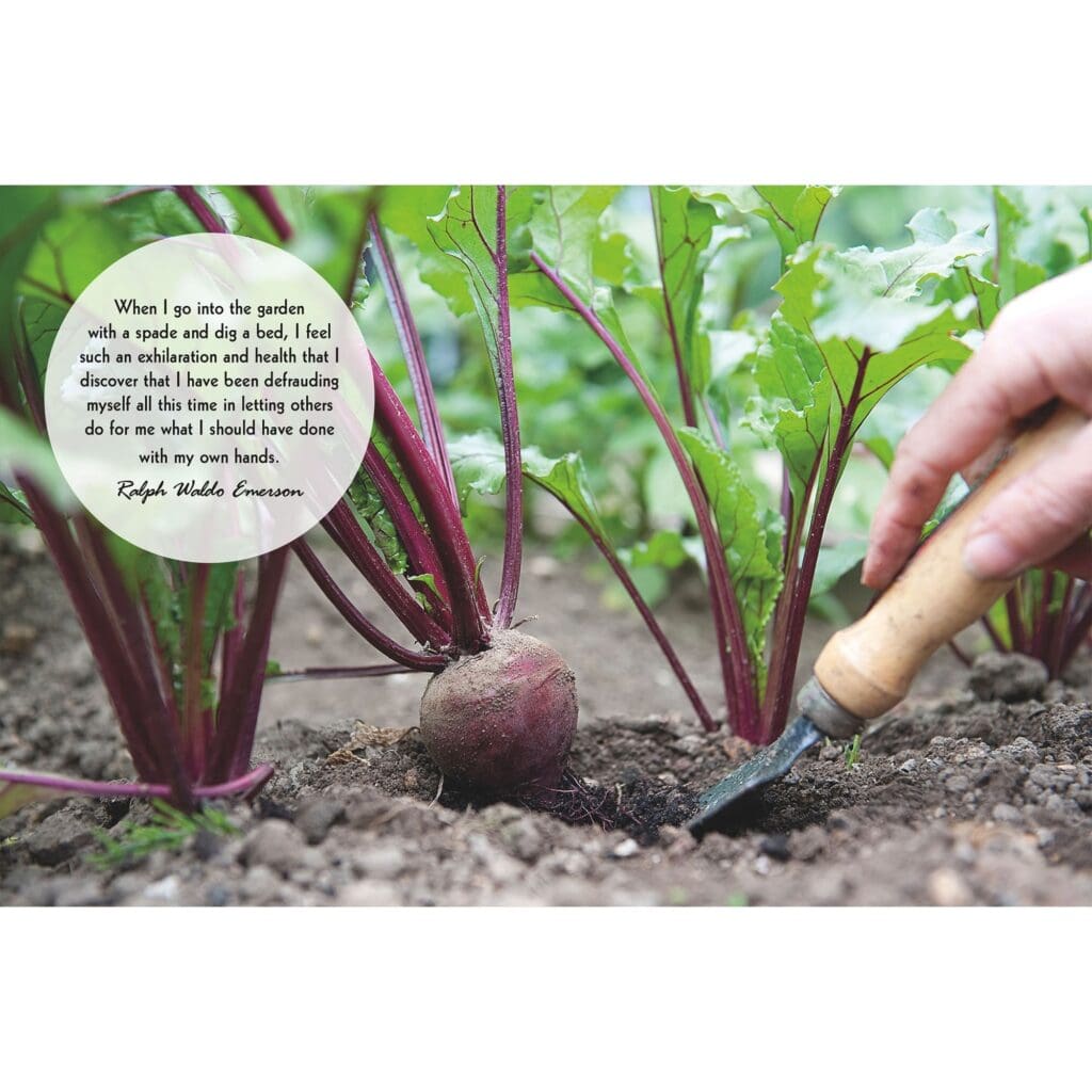 Mindful Gardening Book - Image 3