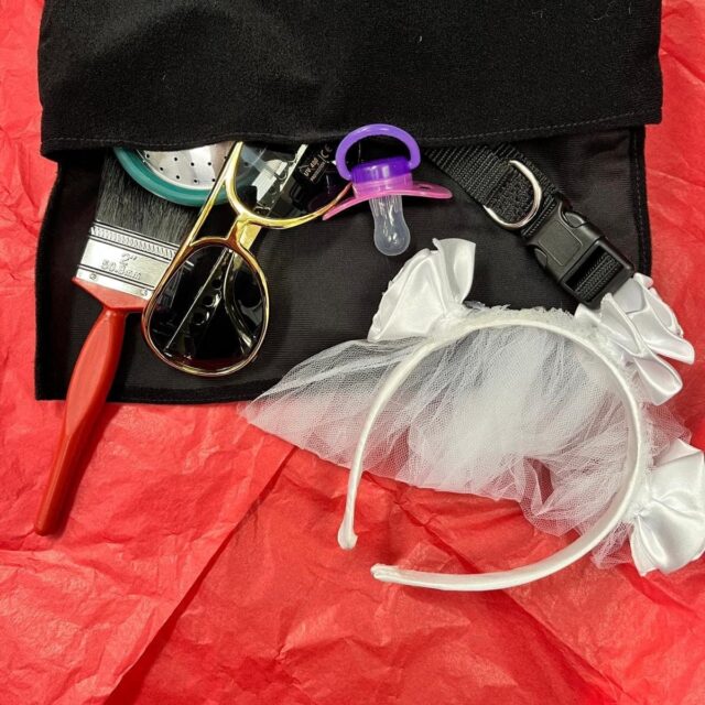 Discovery Rummage Bag