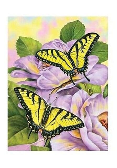 Paint by Numbers - Beautiful Butterflies