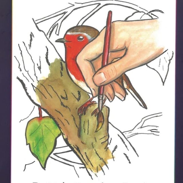 Garden Birds Colouring Books
