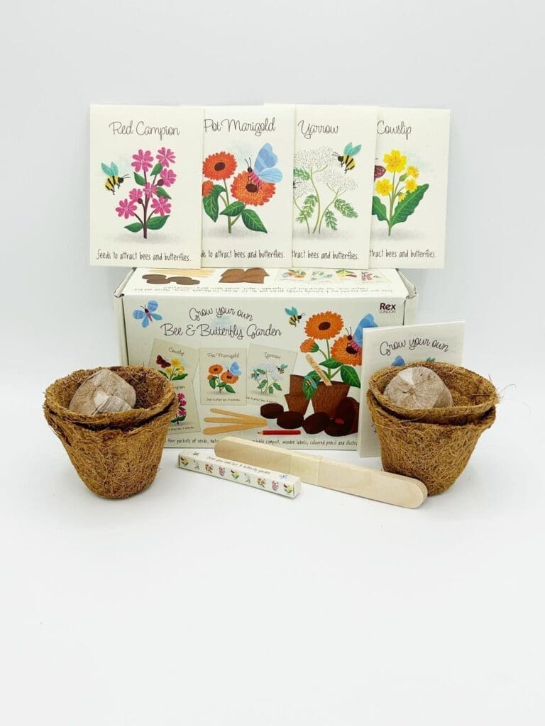 Bee & Butterfly Flower Growing Kit