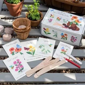 Bee & Butterfly Flower Growing Kit