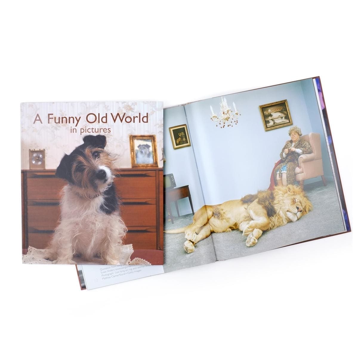 Reminiscence Pictures To Share Book - A Funny Old World