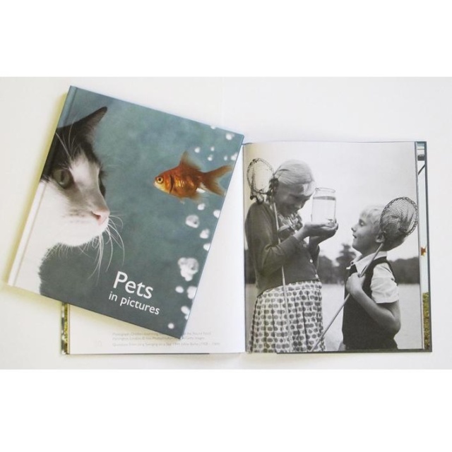 Reminiscence Pictures To Share Book - Pets
