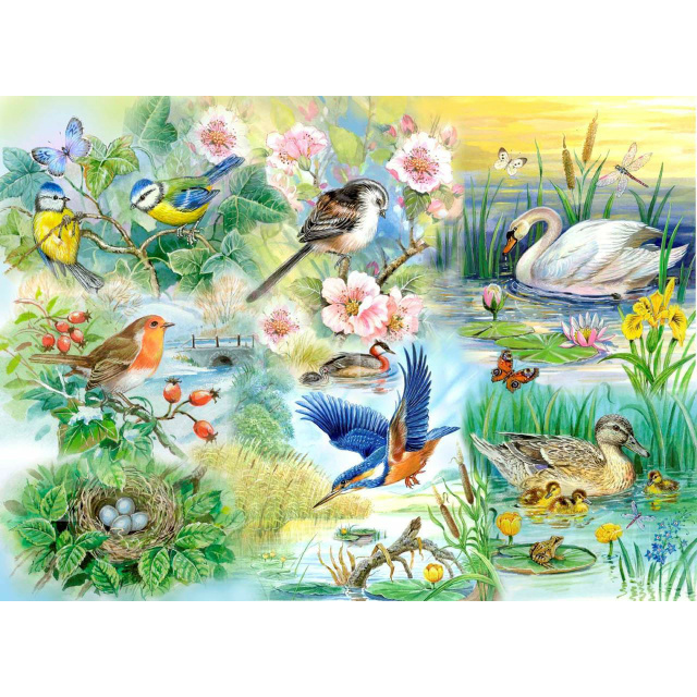 250 Large Piece Puzzle - Feathered Friends