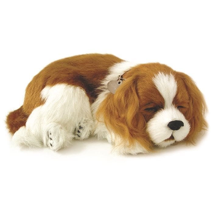 Precious Petzzz - Sammy the King Charles Spaniel