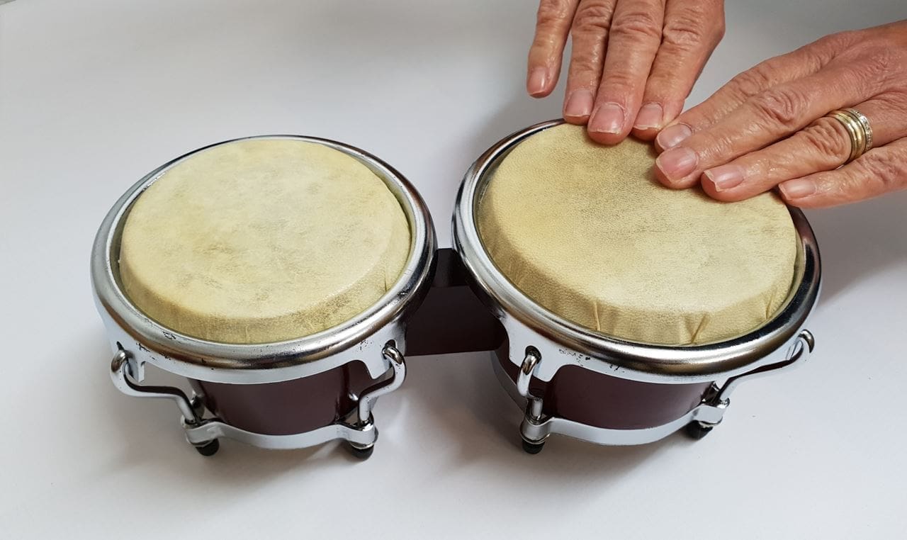 Bongo shop drum set