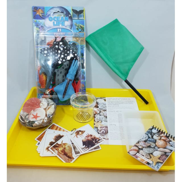 Hobby Bundle - Explore the Rockpools