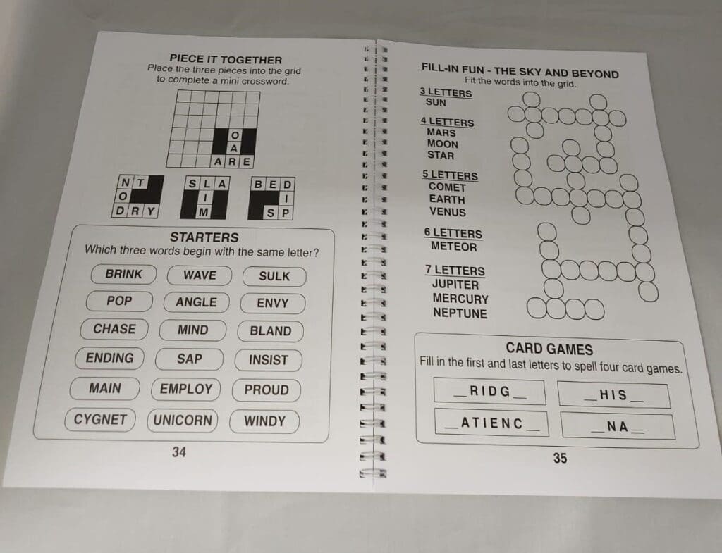 Large Print Puzzle Book
