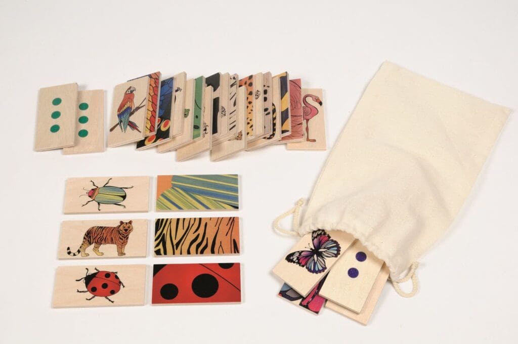 Animals and Their Patterns