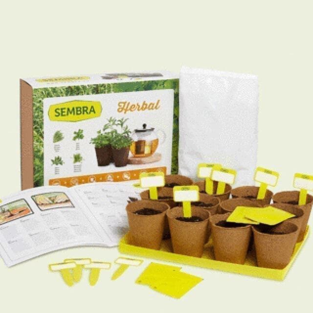 Aromatic Herbs Growing Kit