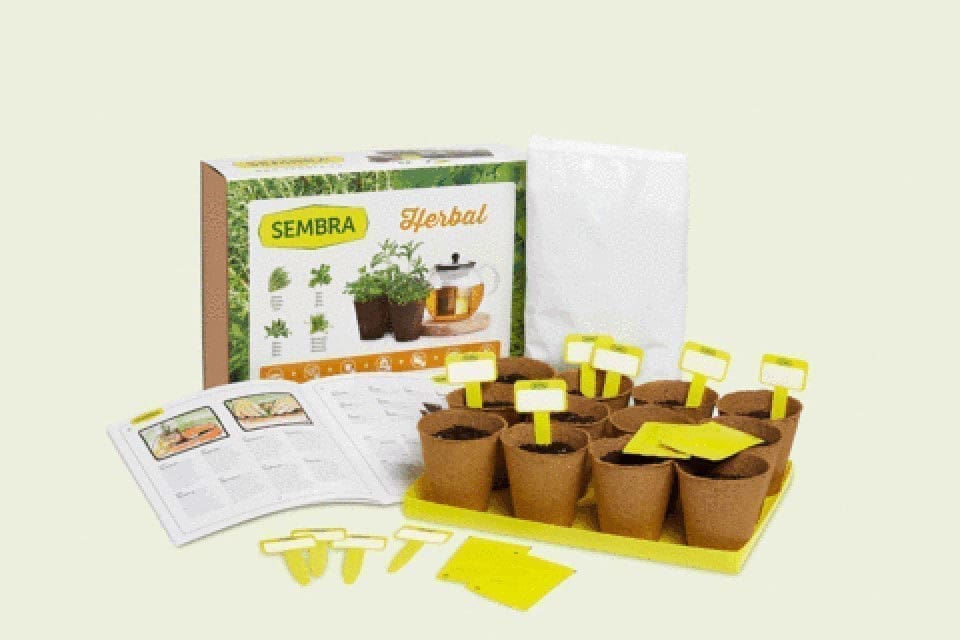 Aromatic Herbs Growing Kit