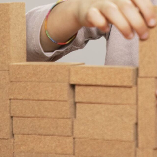 Cork Building Blocks