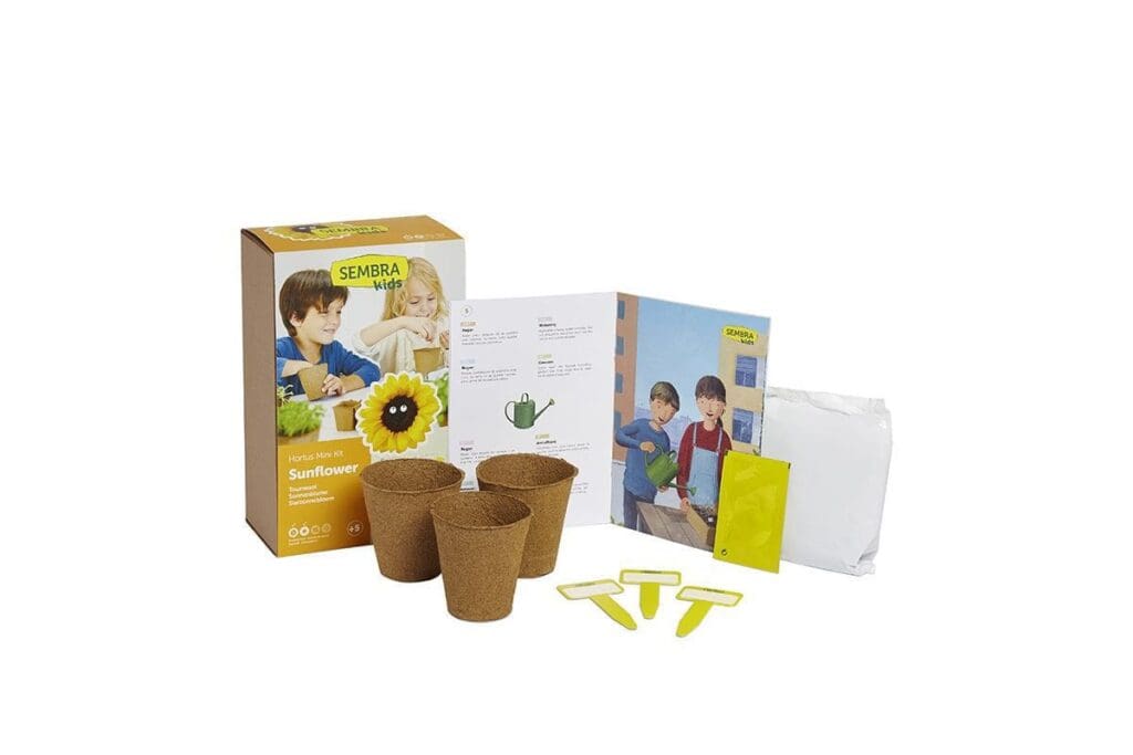 Sunflower Grow Kit