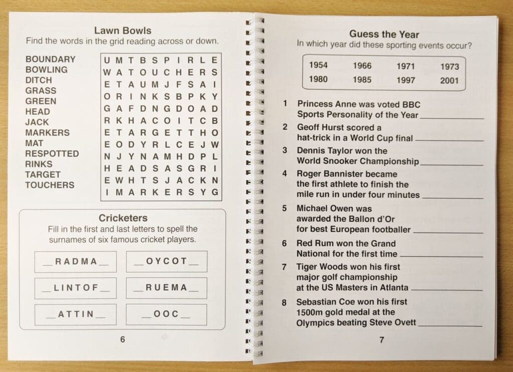 Large Print Sports Puzzle Book