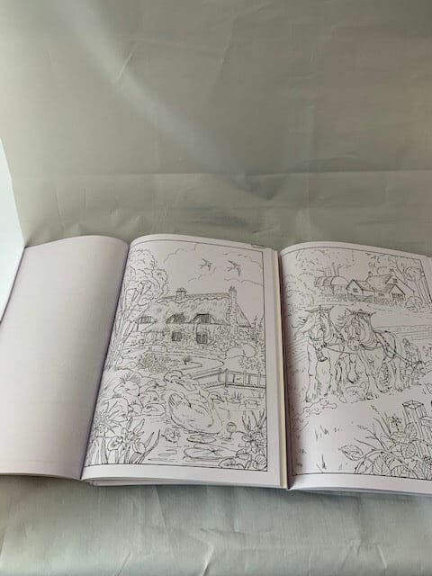 Adult Colouring Books (set of 6 books)